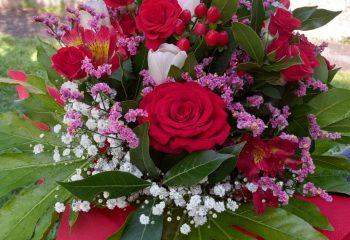 WhatsApp Image 2024-04-23 at 17.47.47