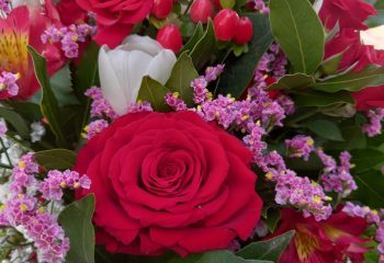 WhatsApp Image 2024-04-23 at 17.47.52