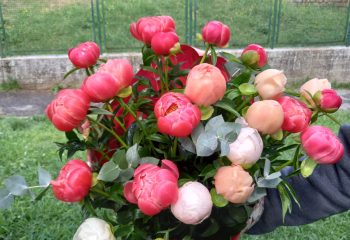 WhatsApp Image 2024-04-24 at 12.17.06 (1)