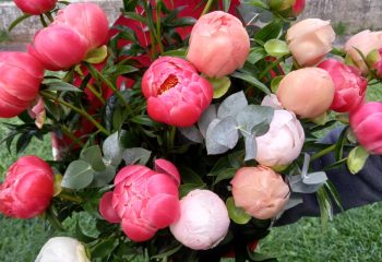 WhatsApp Image 2024-04-24 at 12.17.06 (3)