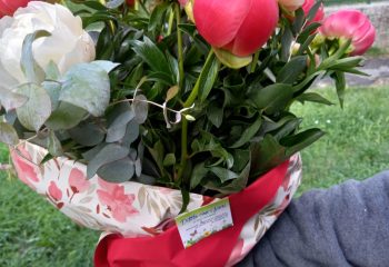 WhatsApp Image 2024-04-24 at 12.17.06